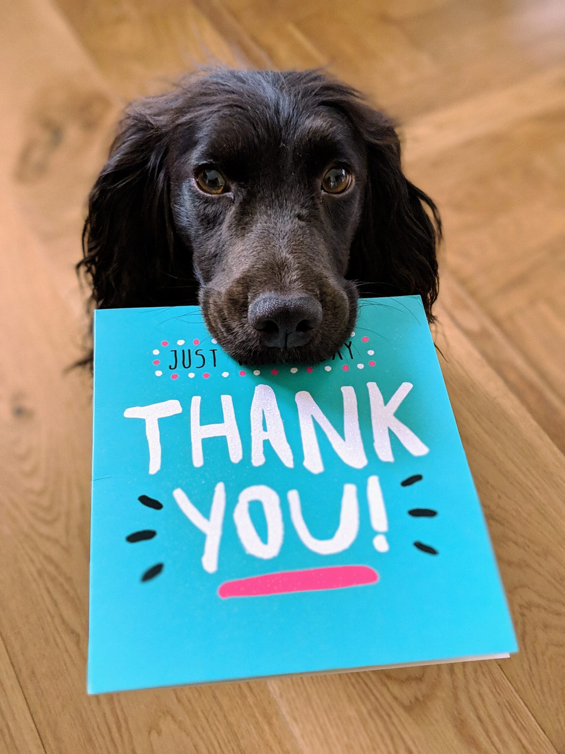 Balancing Compensation & Appreciation to Keep Your Best Employees